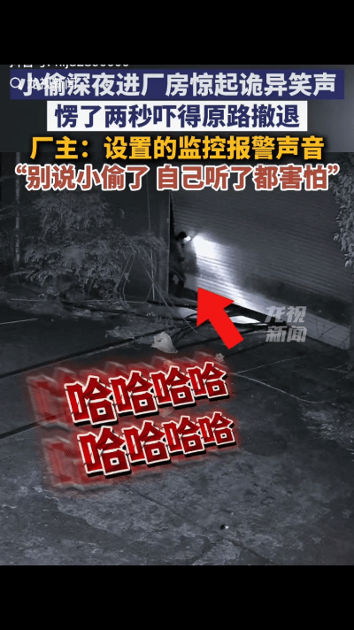 笑死了！湖南长沙，一男子半夜偷偷潜入一家厂房准备图谋不轨，没成想，刚从大门钻进去