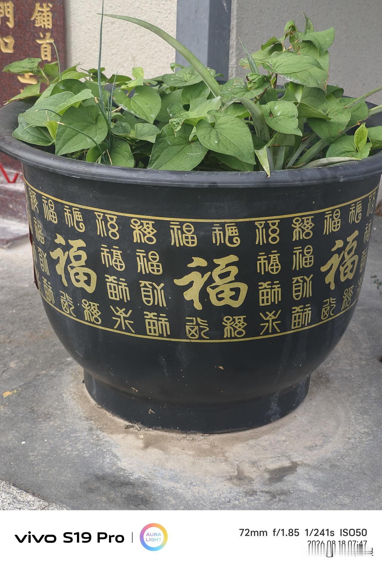 据媒体报道，北京的墓地，五万起步，好一点的八万至十万。买了墓不算完，每二十年还要