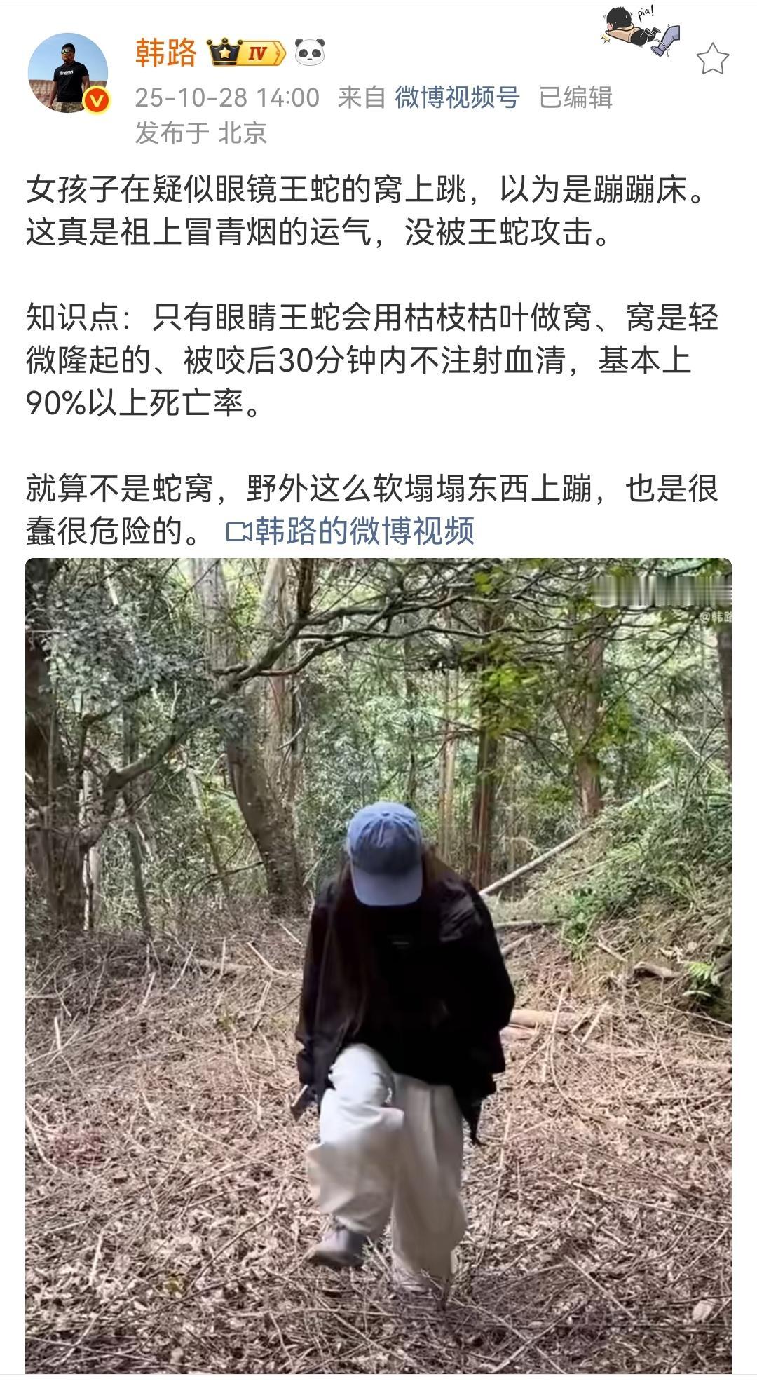 韩路:女孩子在疑似眼镜王蛇的窝上跳,以为是蹦蹦床。这真是祖上冒青烟的运气,没被王