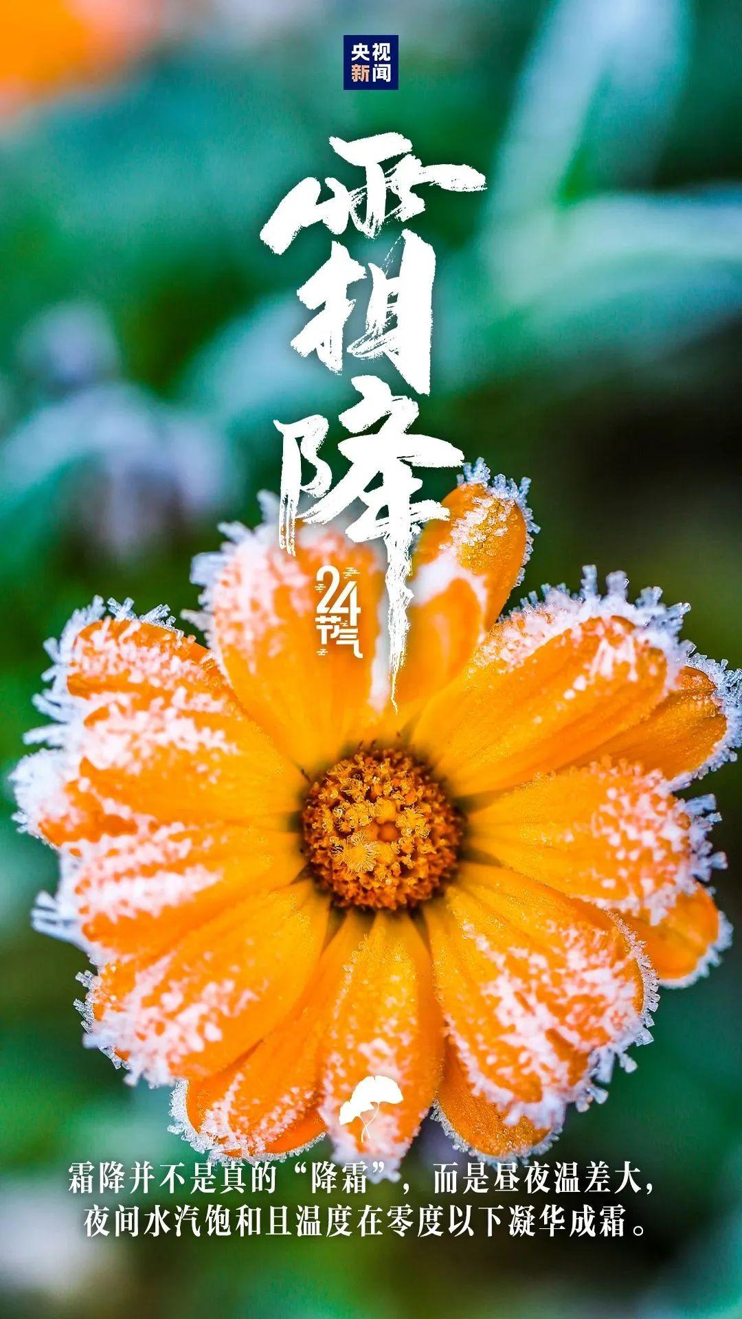 《黄帝内经》霜降养生核心是什么？一、生活起居：早睡晚起，护阳防燥-