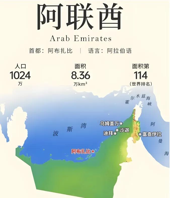 阿布扎比的王储来了。专机在北京降落的那一刻，这位酋长心里怕是不太好受。不是因为我