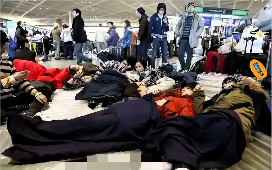 日本机场打地铺的热闹，真应了“人教人没用，事教人一次就懂”！明明外交部、文