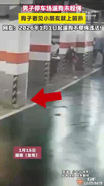 太糊涂了！湖南一名男子在地下停车场遛狗，但却没有拴绳，导致小狗遇见一名女子和孩子