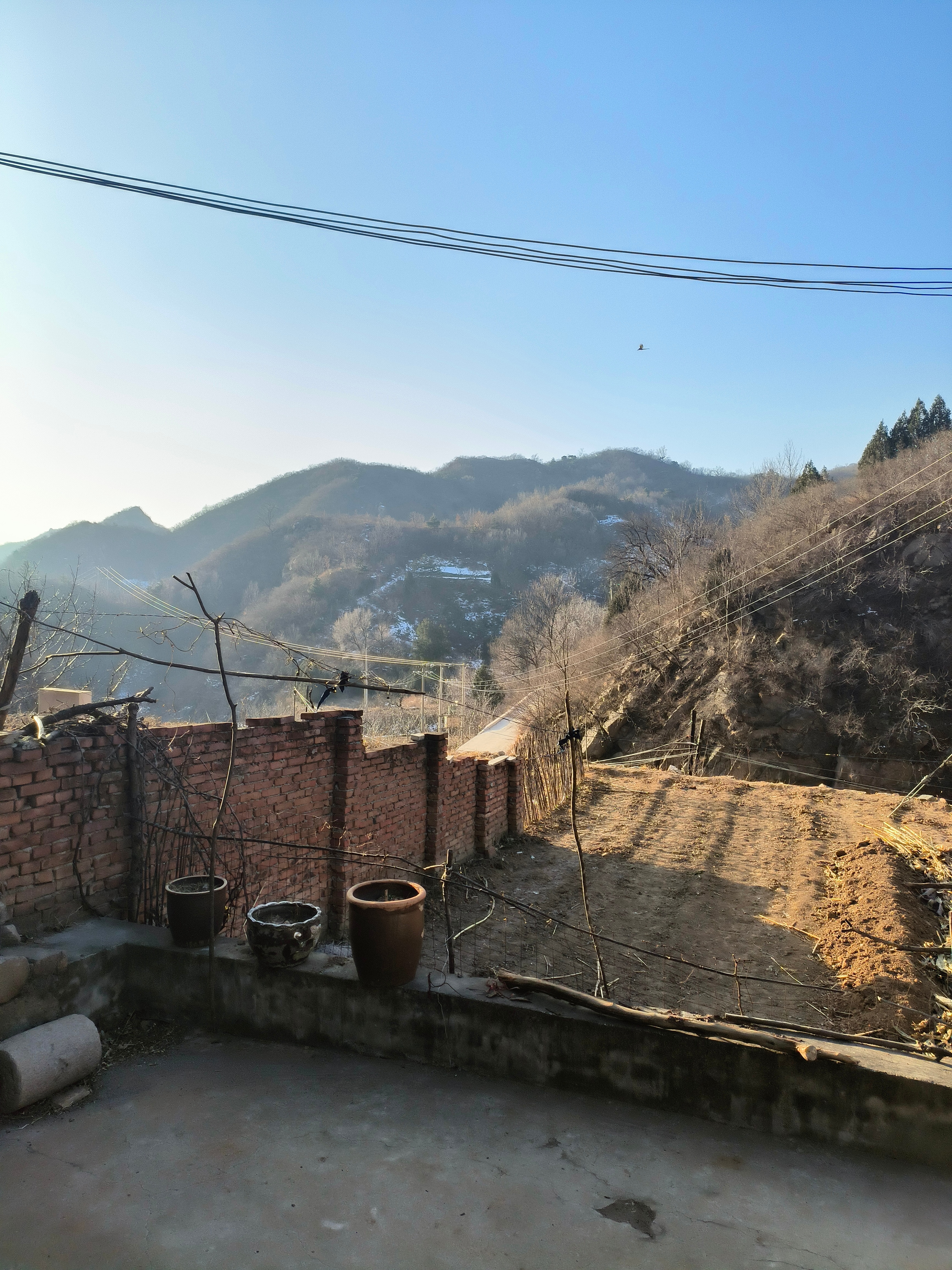 吉林62岁女子怀孕｜吉林62岁怀孕女子发声2025年正月，独子意外离世让她的晚年