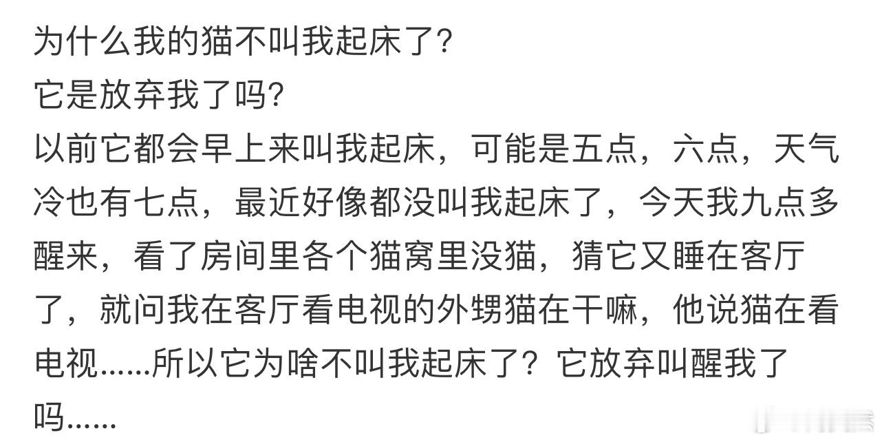 为什么我的猫不叫我起床了