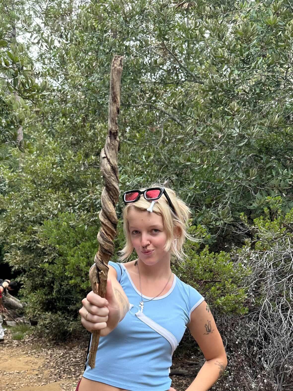 这是世界上最完美的树枝！