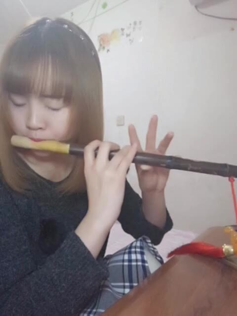 月光下的凤尾竹葫芦丝教学月夜独奏高清