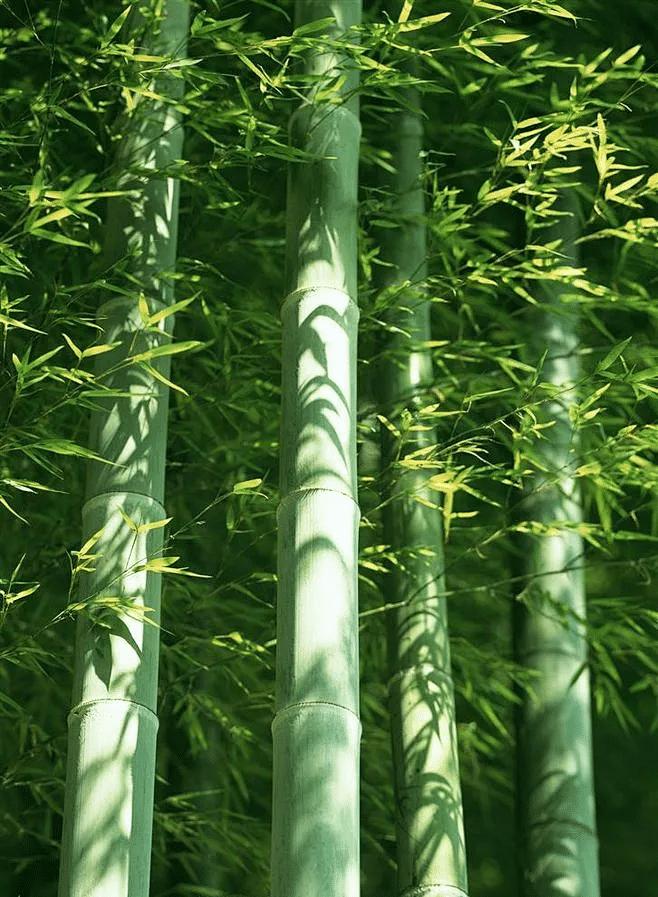 美国查中伊商船？这波操作反倒给中国立了“反制标杆”最近美国突然对中国开往伊