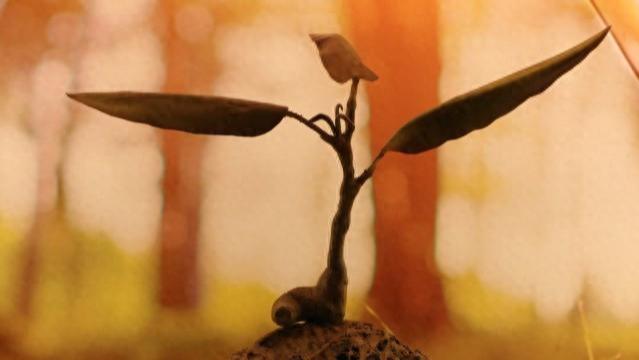 3000年不死的怪树,为什么巨杉被公认为是地球上最可怕的植物!