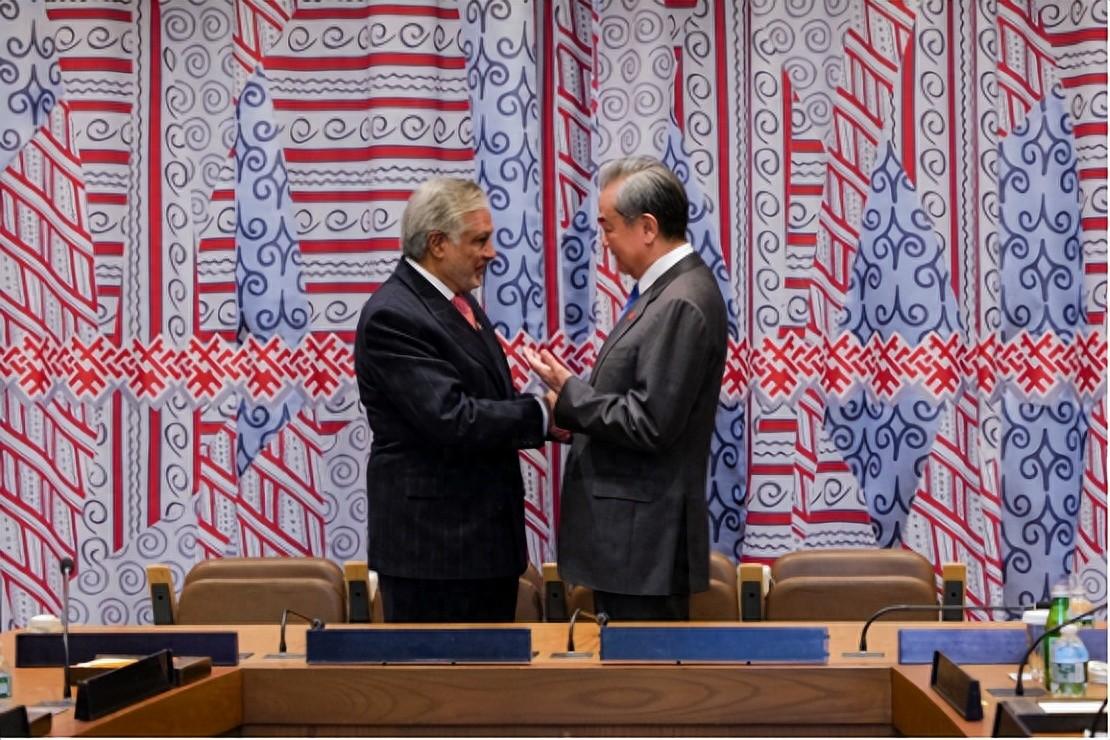 以后没有巴铁了?王毅外长在会见巴基斯坦外长给巴方留下一句忠言。王毅刚结束对印