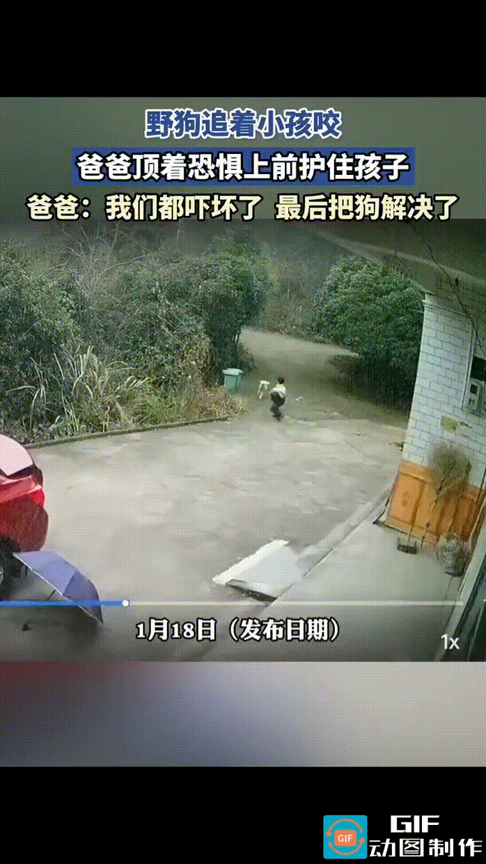 这只狗估计是疯了，凶狠地追着孩子嘶咬，连大人来了都不怕。男子冲出来保护孩子，它