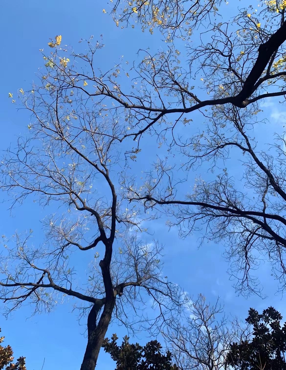 不管儿媳对你咋样，记住这5点，错不了：第一，千万不要有把儿媳当闺女的心态，儿