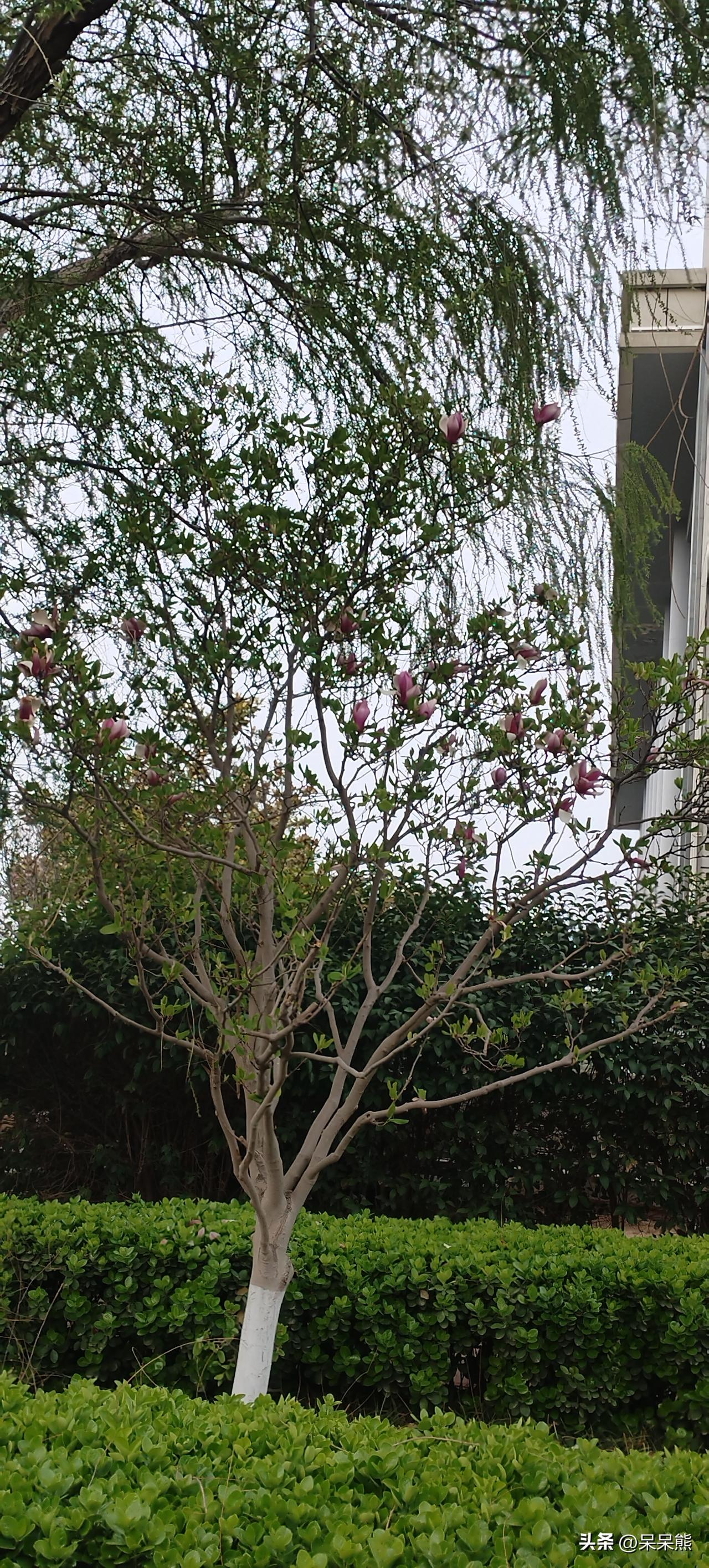 有过度节俭的人。带着充电宝去公司充电，这样手机就可以充电了，这不是给家里省电费