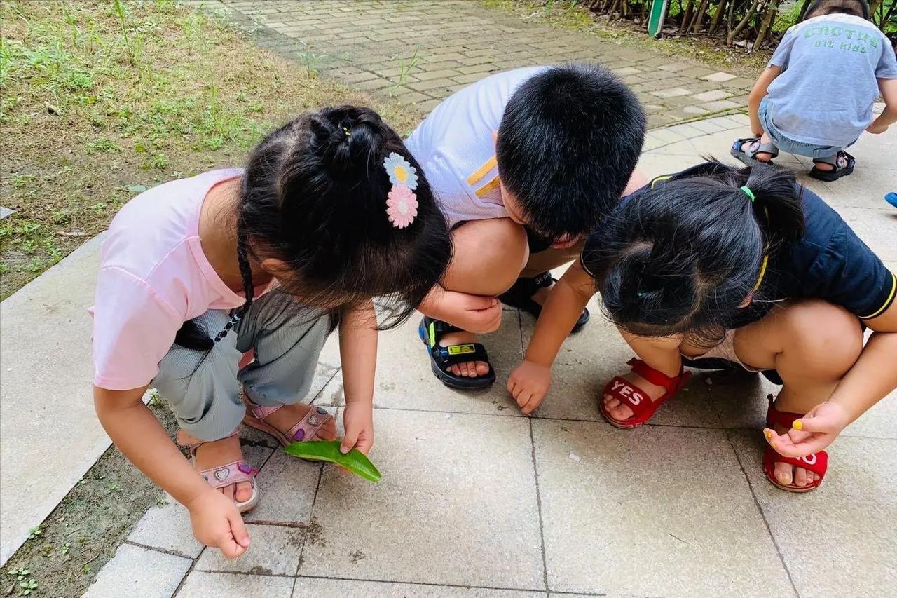 幼儿园要求带“全家福”，家长反应各异，背后意义引发热议孩子入园后，不少幼儿园