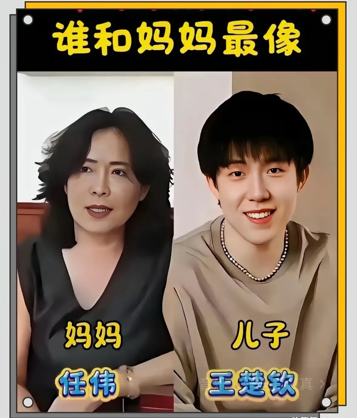 王楚钦和妈妈长得很像。樊振东和妈妈长得很像。林诗栋和妈妈长得很像。王曼昱和妈妈长