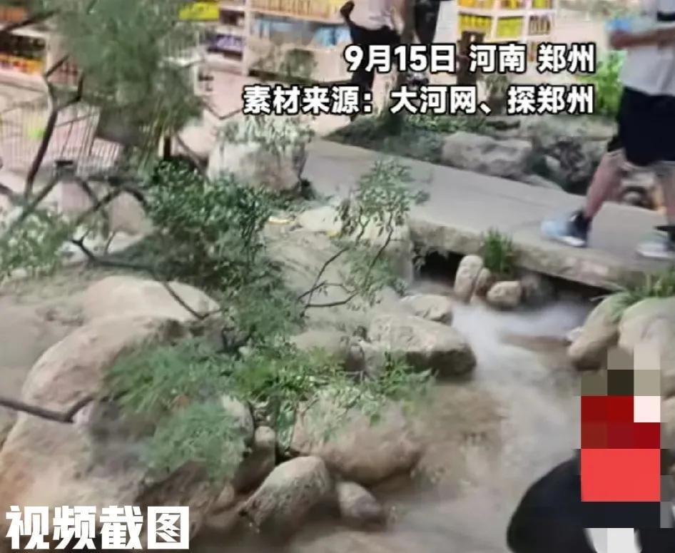 河南郑州有一家特别的超市。这里如同公园一样，小桥流水，鸟语花香，这是将自然风