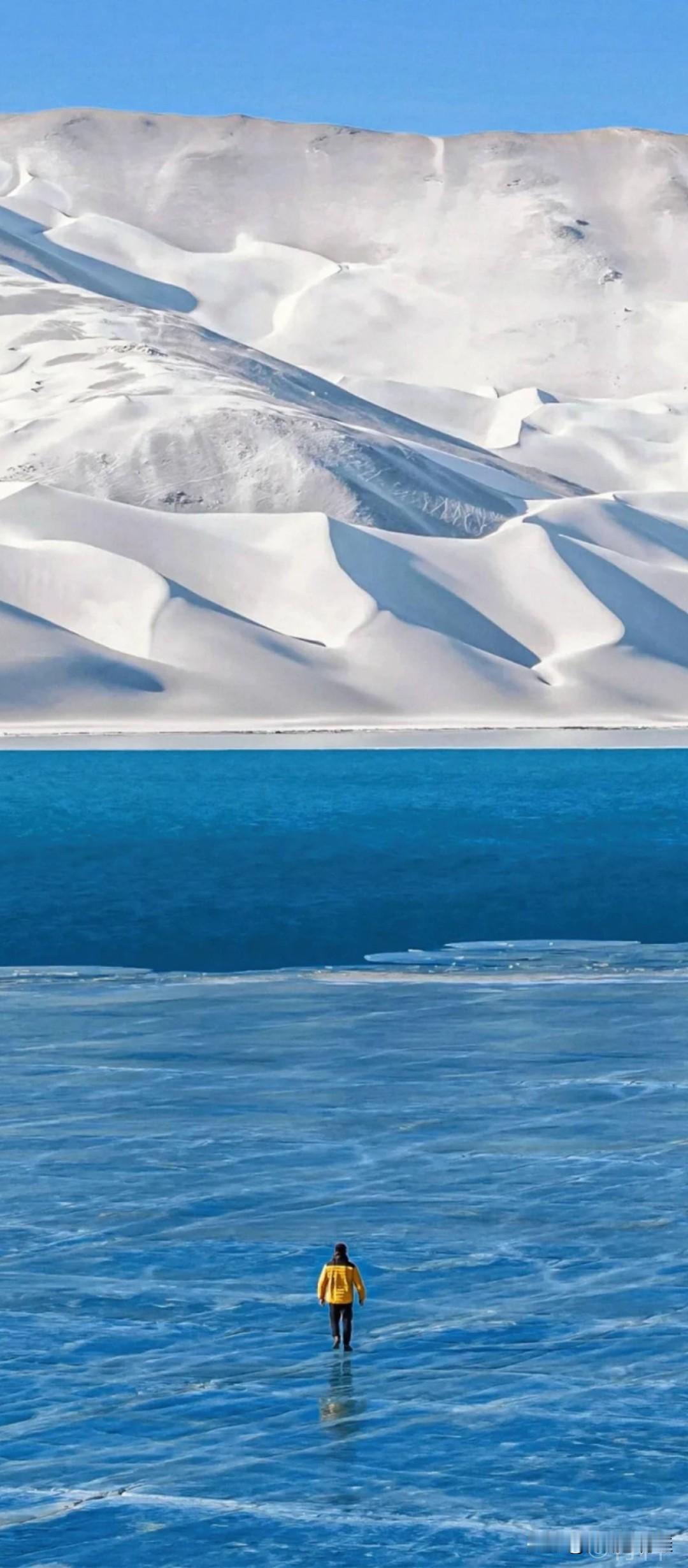 你想过没，负债硬扛四年最让人痛心的结局是啥？既不是蹲大牢，也不是连累孩子，更不是