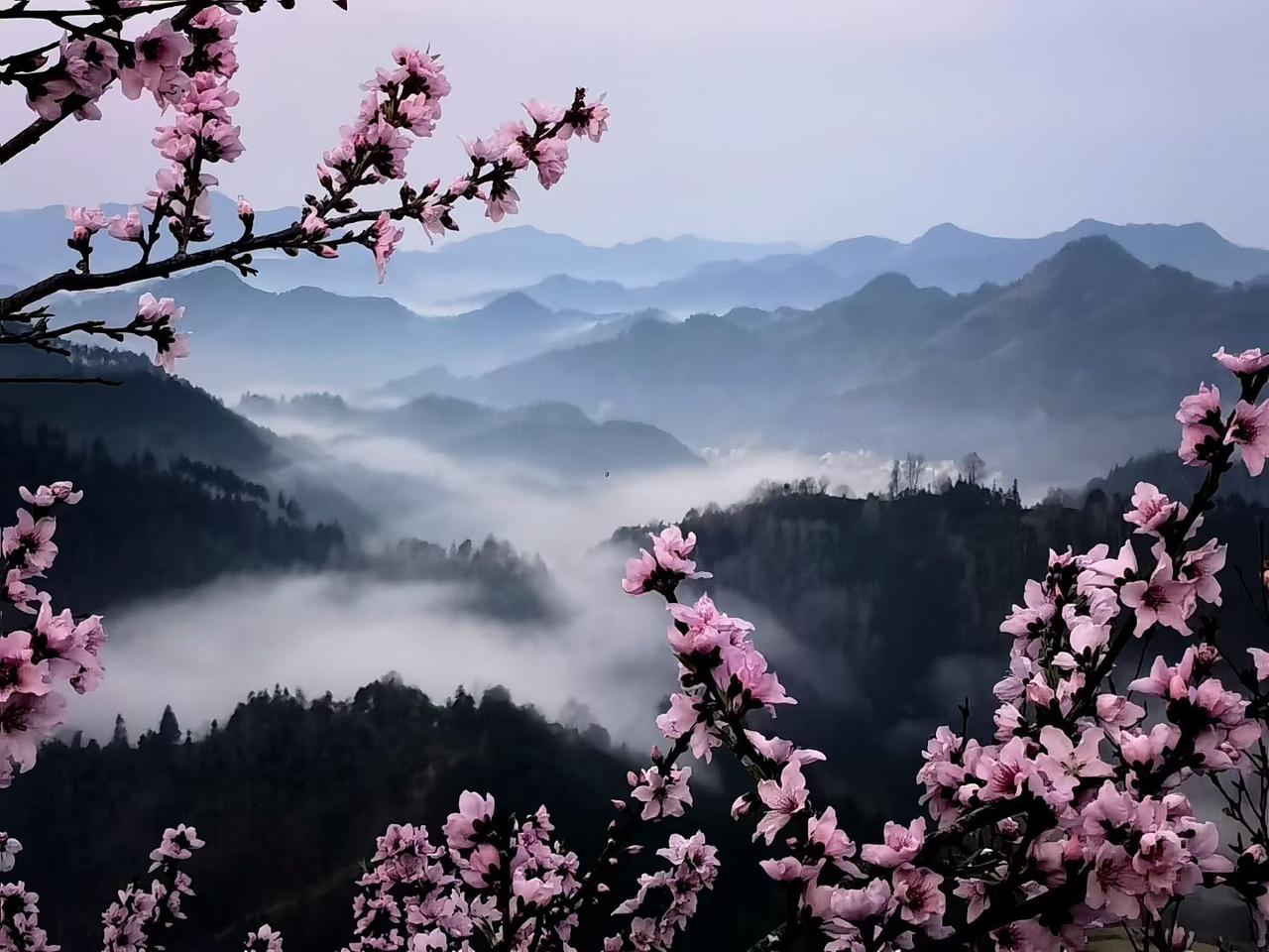 人在知足的时候最富有，人在珍惜的时候最幸福常听人说，人这一辈子，都在追名逐