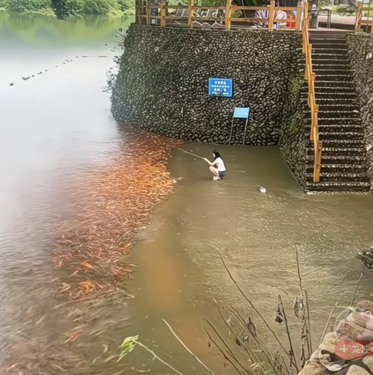 这就是钓鱼佬的梦想之地