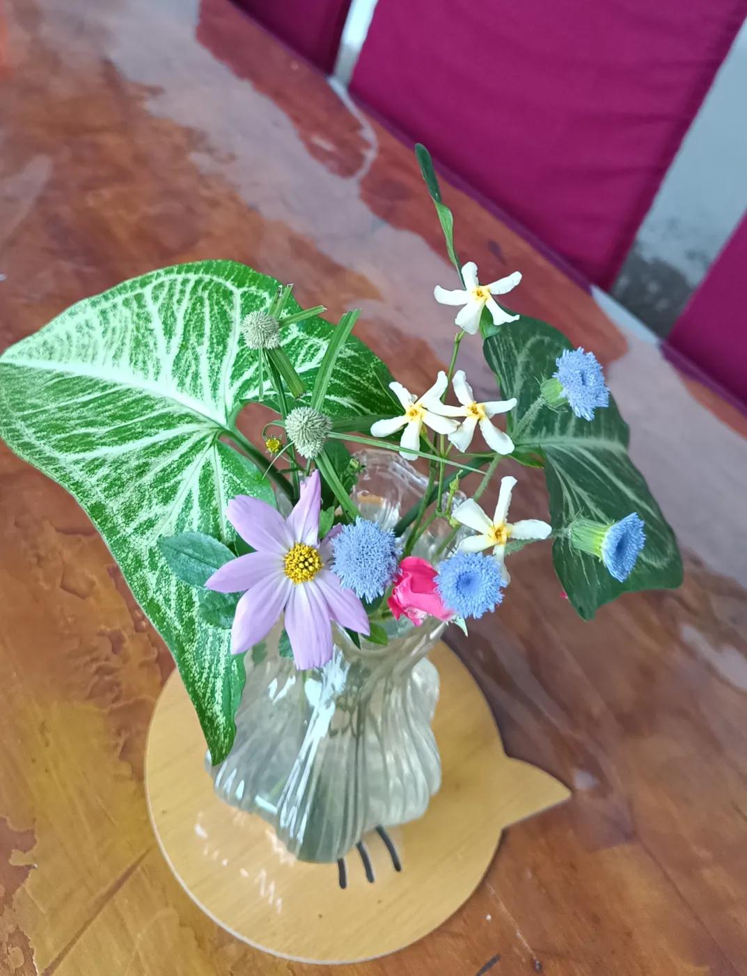 我在美丽的西双版纳东风农场安家了，买了一个小院子，有菜地，用水不花钱而且是国家一