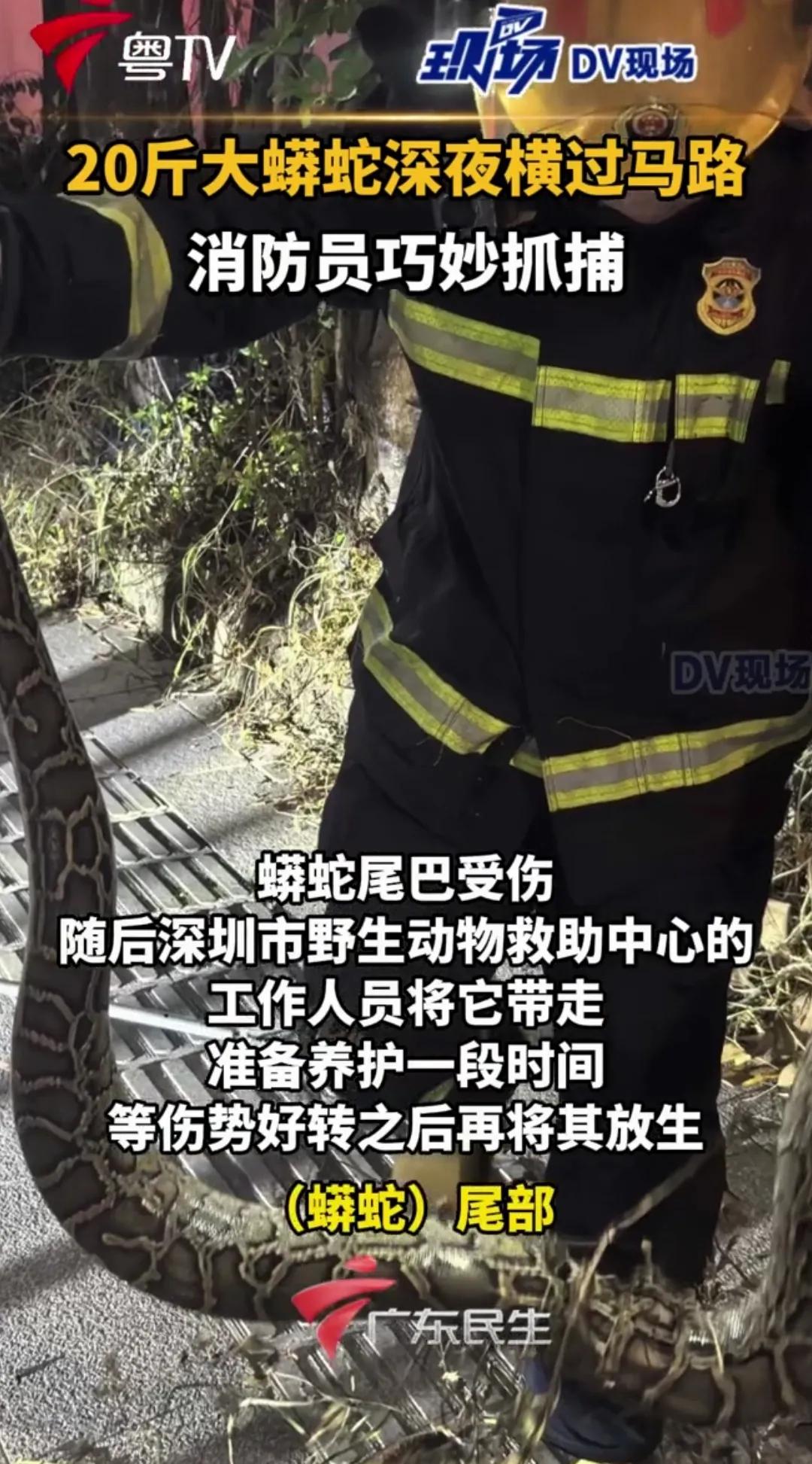 家人们，今天得说说这事儿，真的得给大家提个醒啊！10月18号晚上9点多，广