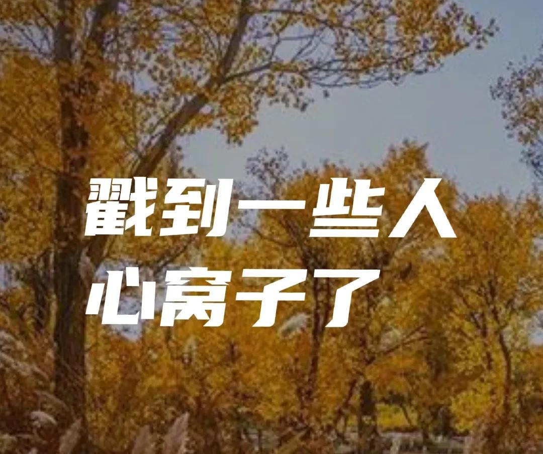 就写了家长投诉被教育局处理，有些人反应就那么大，这是实事求是，并没有虚假的成分，