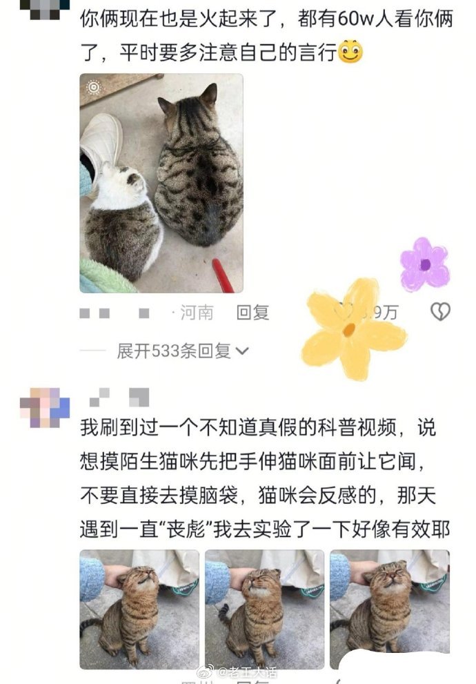 东北人看到天塌了