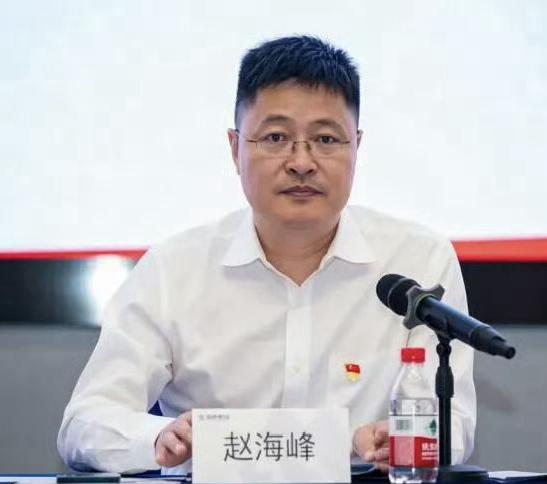 赵海峰恢复流氓罪来来来，先捋一下事儿：清华毕业、高考状元、央企总经理赵