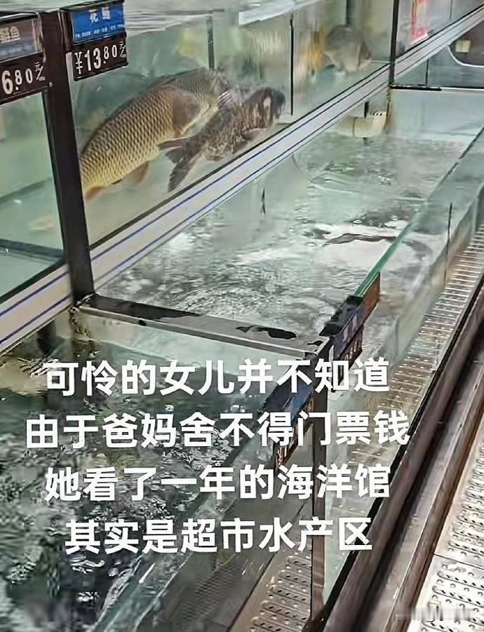 孩子长大后去到真正的海洋馆，不知道会是什么样的感受