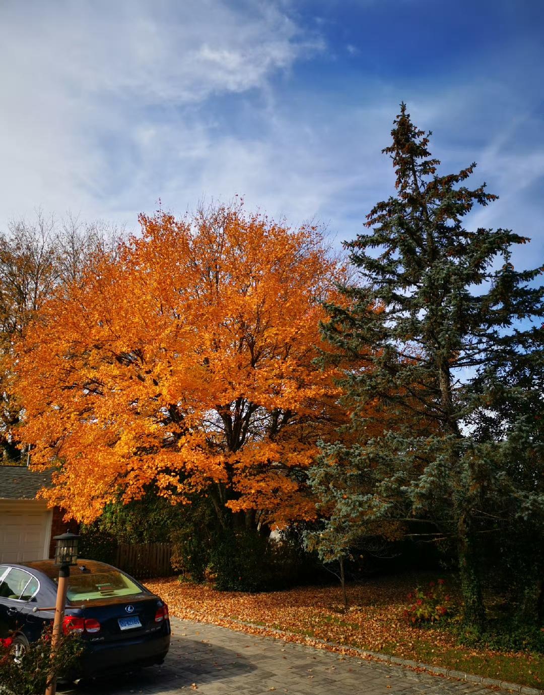 人生的顶级清醒：管住嘴，比会说话更重要见过太多人，赢在能言善辩，却输在口无