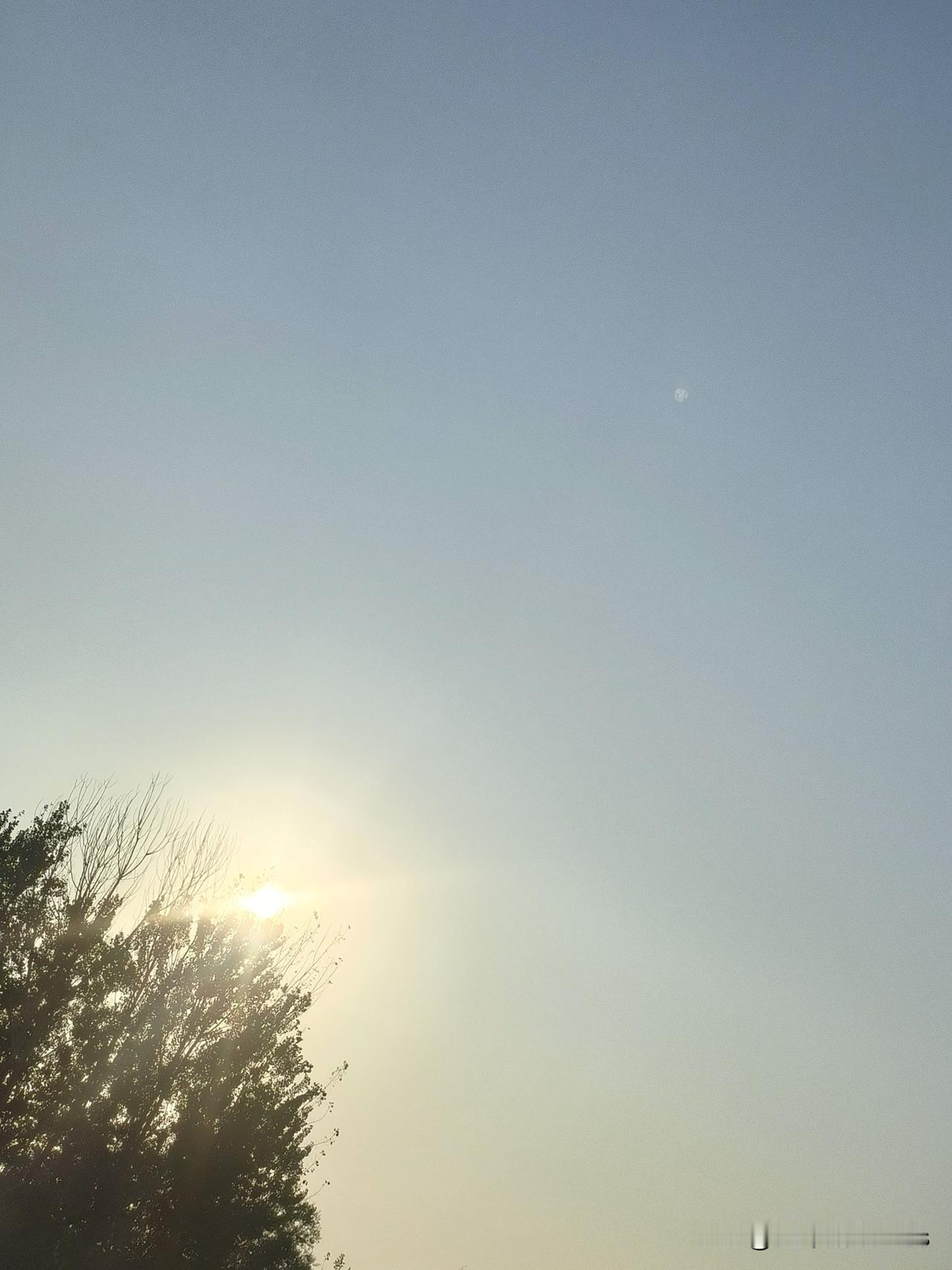 被蛇咬,到医院嫌血清太贵,他开车走了……直播抓蛇的网红,也没赚到“玩命钱”看