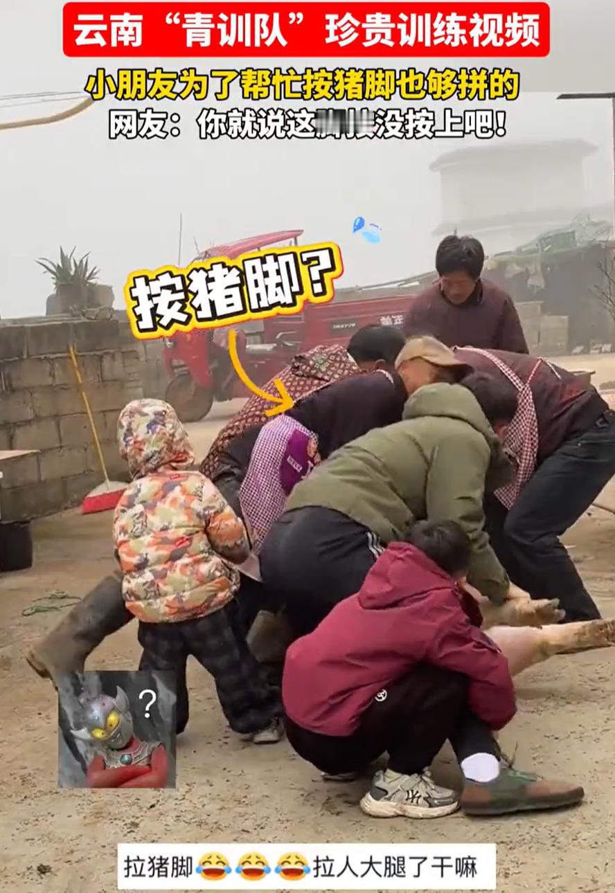 笑不活了！云南，一村民家中杀年猪，结果男子在按猪的时候，突然觉得自己的腿被人给抬