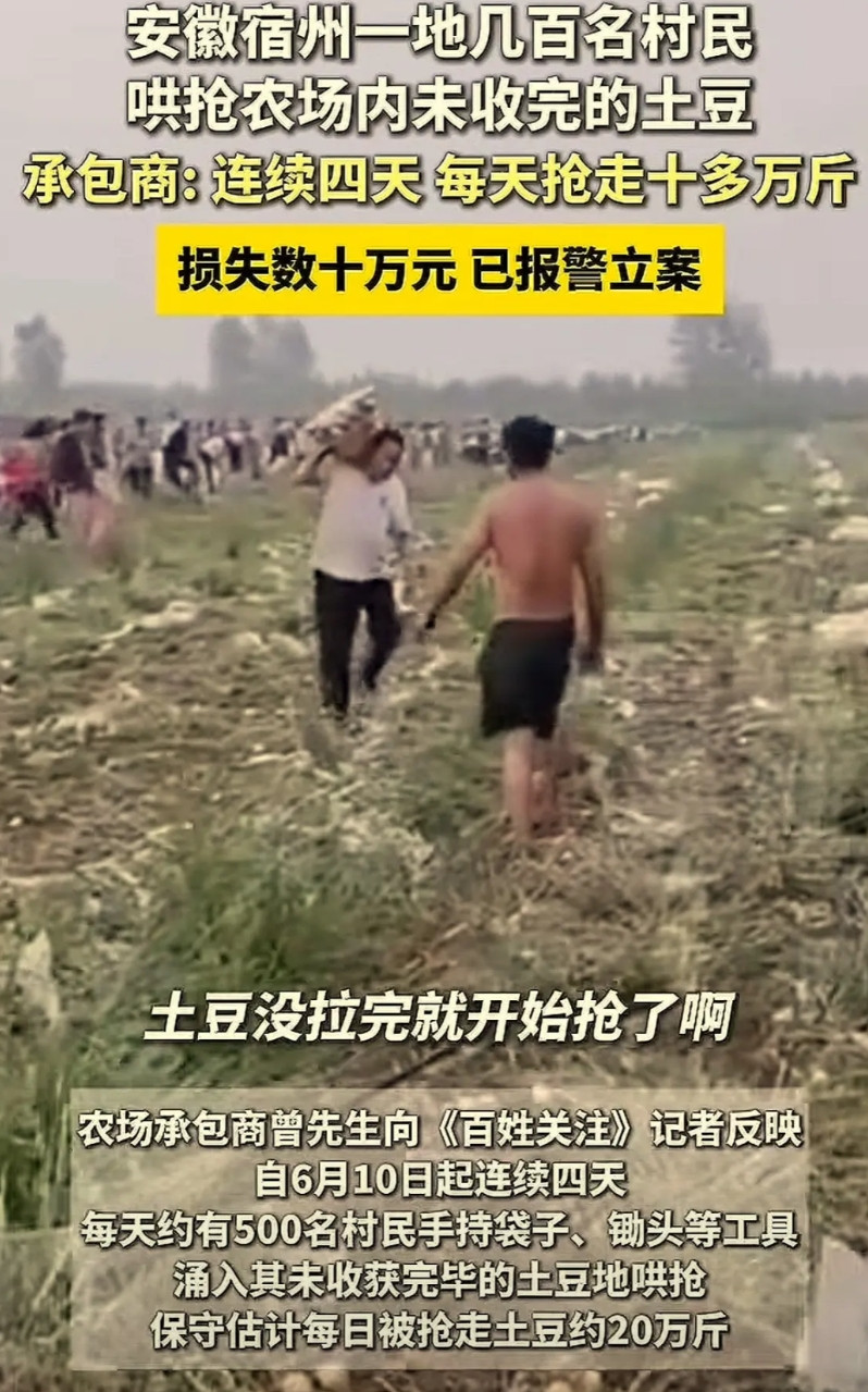 这种肮脏行为真的给宿州丢人，给安徽抹黑！安徽宿州出名了，宿州解集镇也出名了！