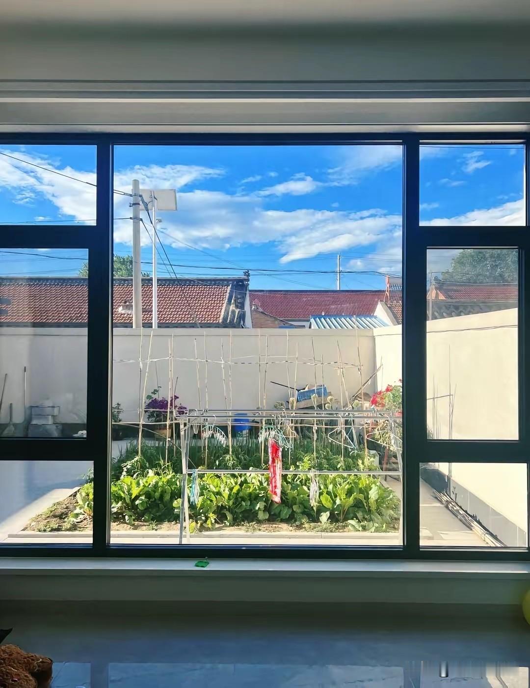 农家小院，种花种菜才是最好的生活状态。