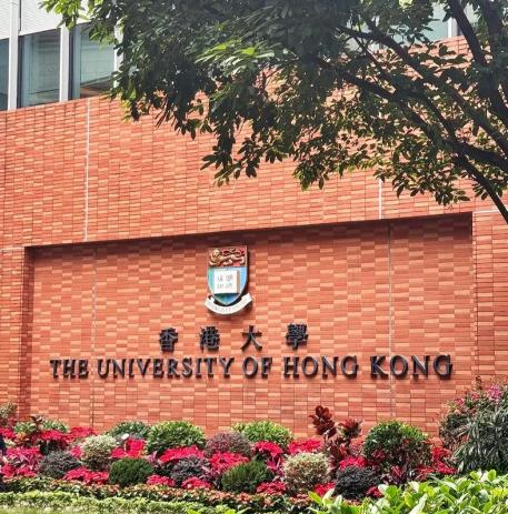 被浸会拒了，转头拿港大4万月薪？港大这次的操作让人看不懂杨同学被浸