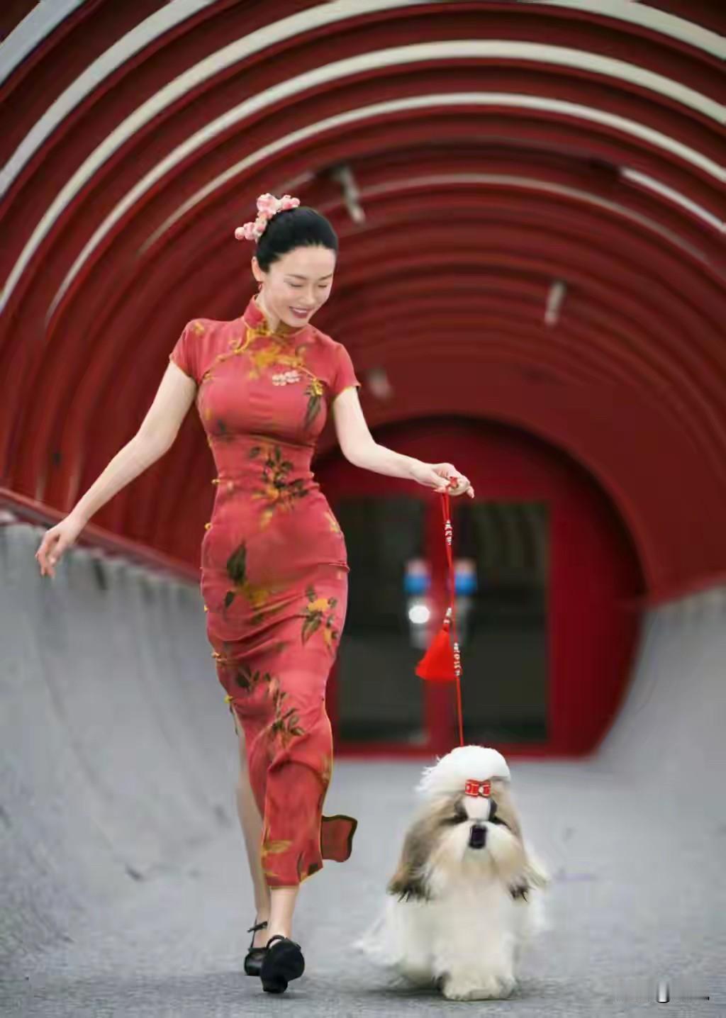 霍思燕带中国西施犬夺冠，最吸睛的难道不是霍思燕的身材