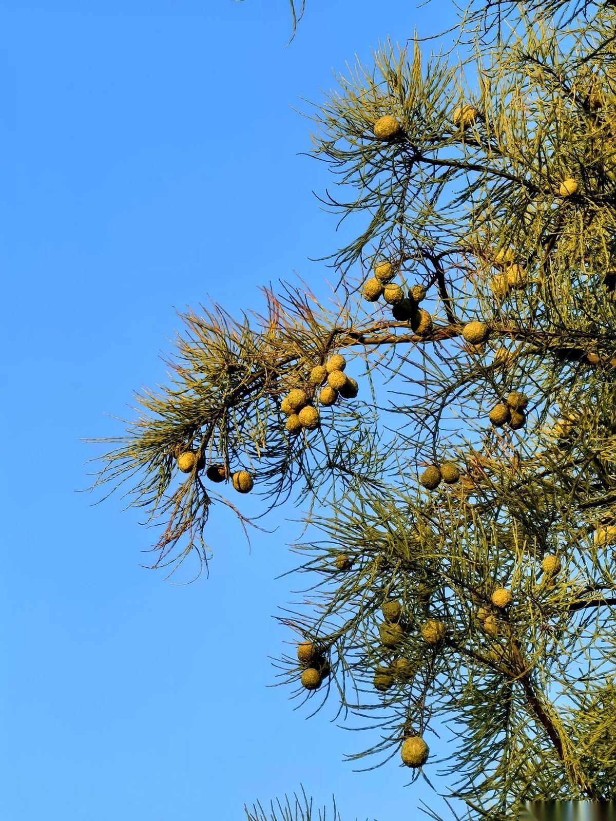 前两天文件里看到“防止规模性返乡”几个字，我心里咯噔一下。这哪是“防止”啊，这