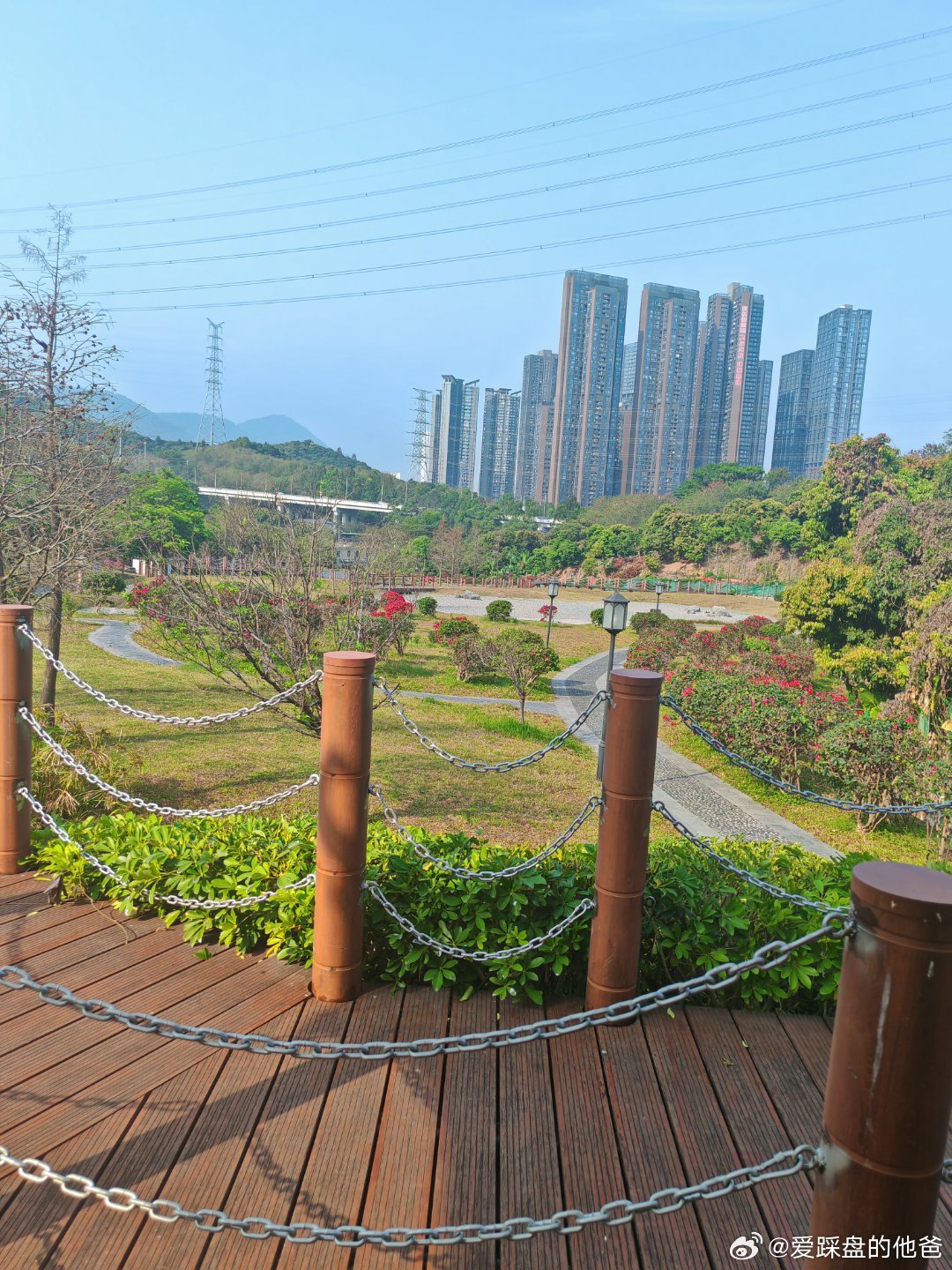 有粉丝吗？求偶遇！深圳·寄山公园