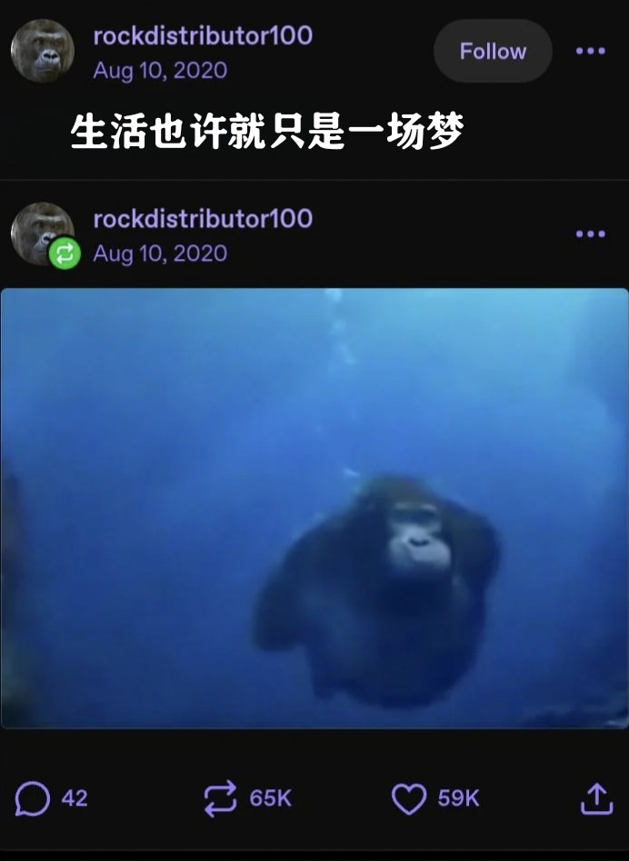 入梦了。meme