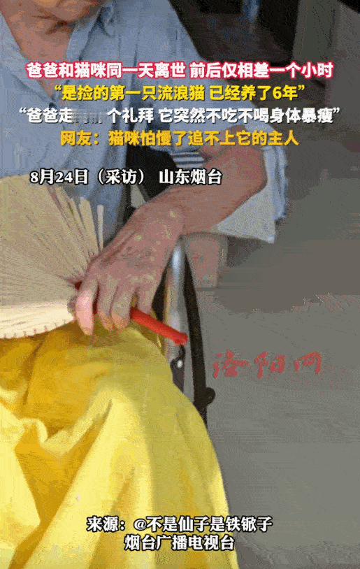 “这下科学也没法解释了！”山东烟台，一位老人离世，不料老人走后不到一小时，养了六