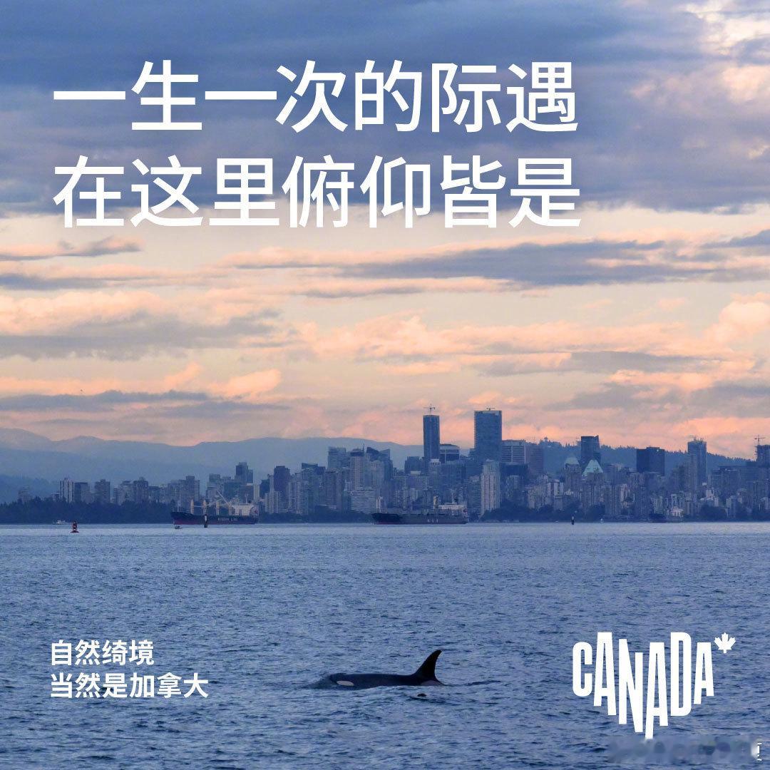 自然绮境当然是加拿大微博旅行ing看完这支视频，终于读懂什么叫被自然偏爱的国度