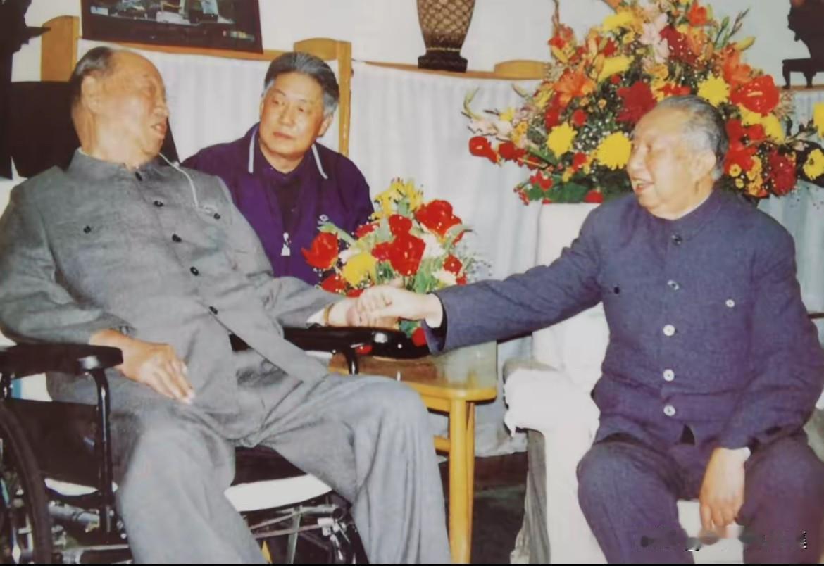 1996年，退休多年的华国锋同志前往北京医院探望病中的彭真同志。当时彭真已94岁
