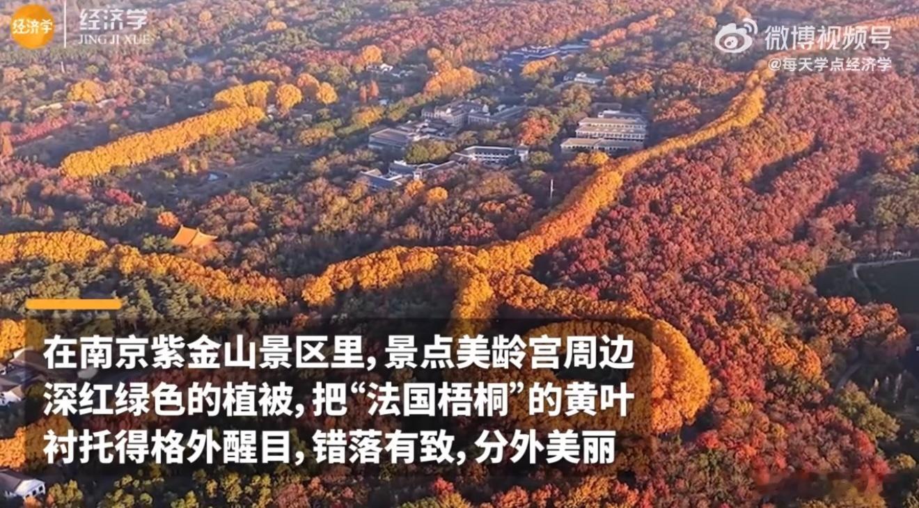 南京的初冬把美龄宫变成了翡翠吊坠没去过南京的时候每天都想去，去过了之后每次还想