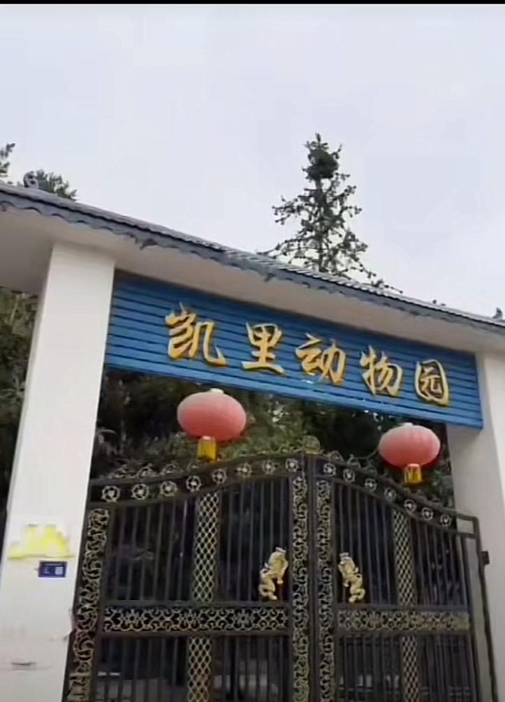 世界上最寒酸的动物园有救了,安徽老乡彻底火了因为位置偏僻动物园很少被