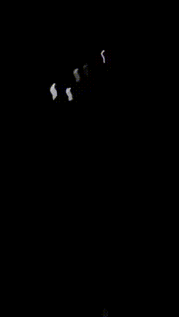 全世界都看见了，10倍音速榛树导弹的威力！5月24日凌晨，俄罗斯又动用"榛树"