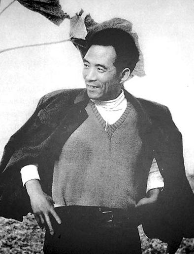 当年焦裕禄用来挡风沙的树，现在成了日本人做梦都想要的宝贝。河南兰考，一棵60年前