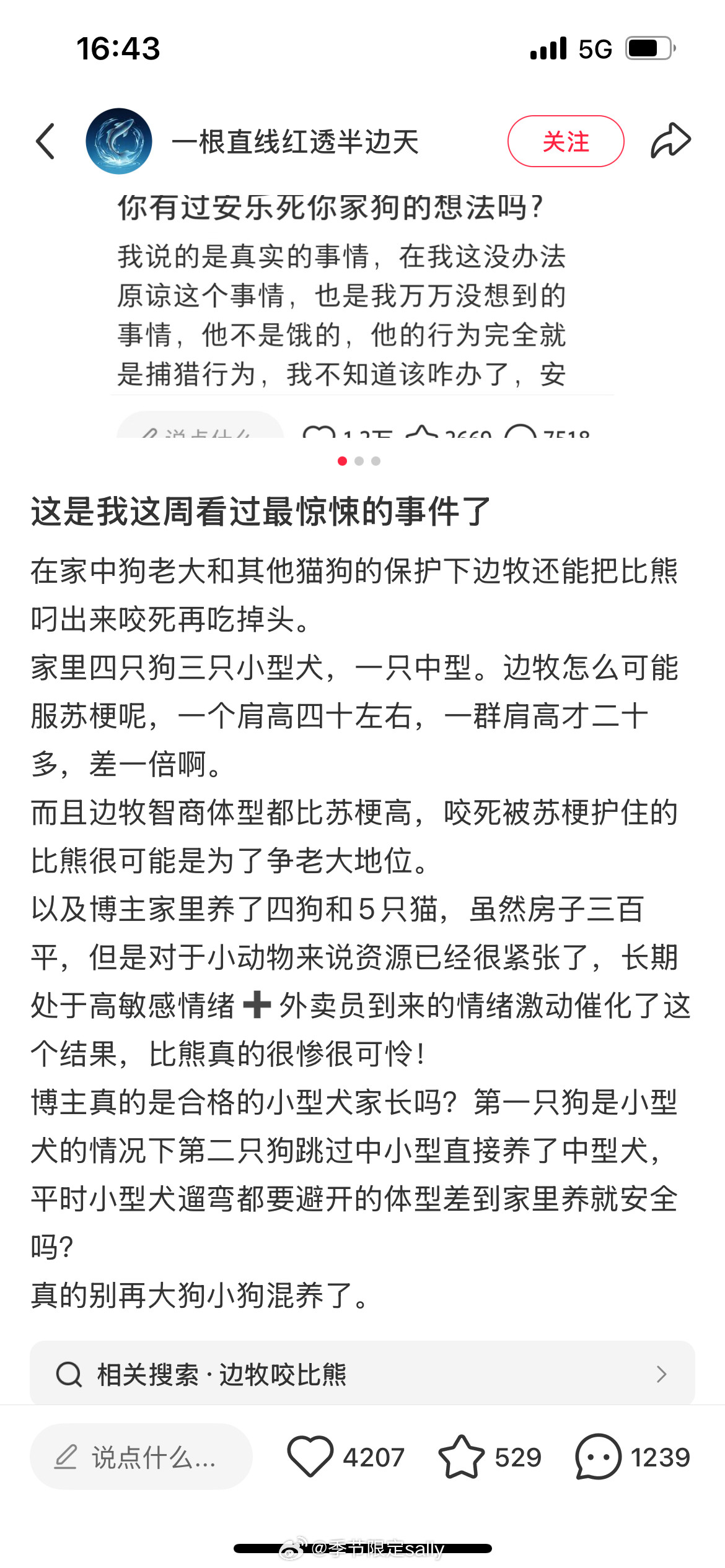 你们有没有刷到🍠这个博主、、他发帖说他家边牧把比熊吃了，我真的要吓晕了，看评论