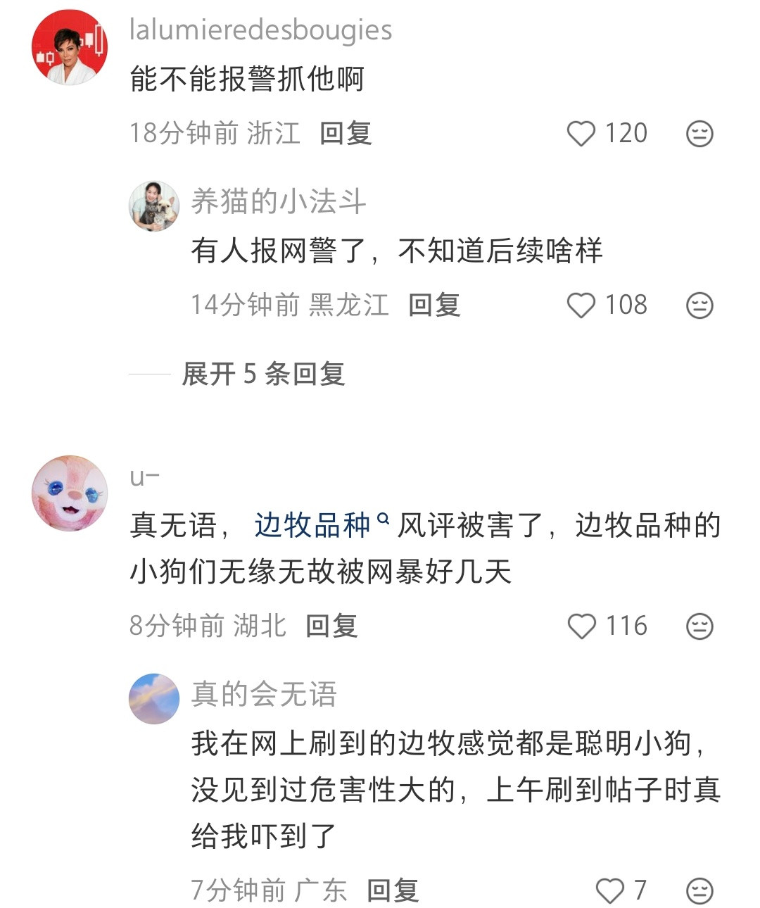 这个帖子说那个边牧吃比熊的故事是编的​​​