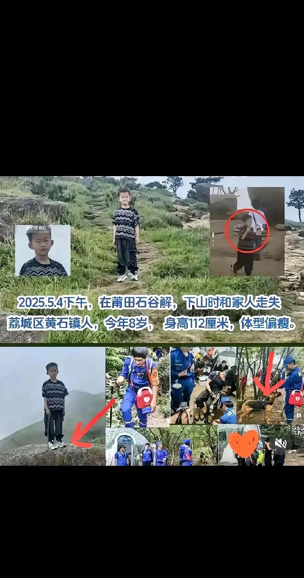 福建8岁孩子走失5天，牵动无数人的心。5月8日，搜救迎来转机。搜救犬在山林灌木丛