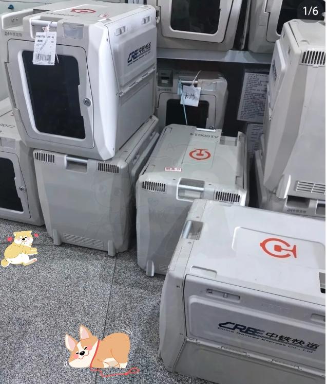 连刷两天官媒，一口一个“毛孩子”，看得人心里直发毛。新华、光明这种严肃大号，